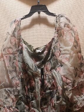 Fashion Nova Sheer Floral Sage Green and Pink Ruffle Dress